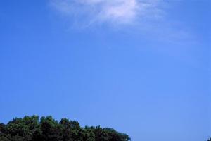 静岡県浜松市で安心・安心の家族葬を提供する「家族葬のタクセル豊町」｜2024年6月新規オープンの斎場・葬儀場